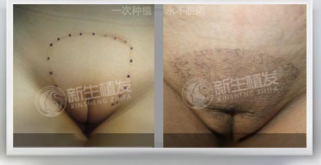 QQ图片20141203150323.jpg