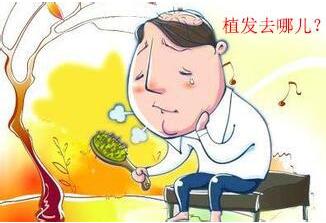 植发去哪儿.jpg