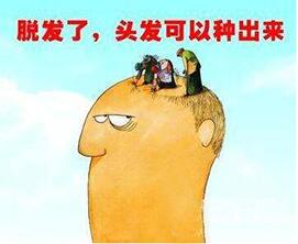 QQ截图20170415144732.jpg