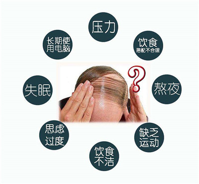 <a href=http://www.chinamaofa.com/wenti/ target=_blank class=infotextkey>脱发原因</a>是什么