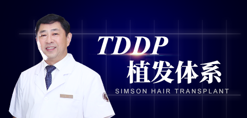 tddp毛发种植体系