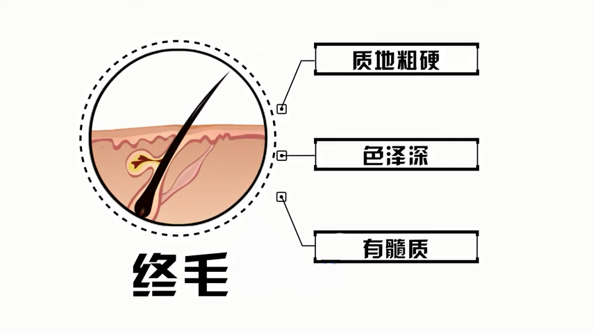 掉头发的常见原因