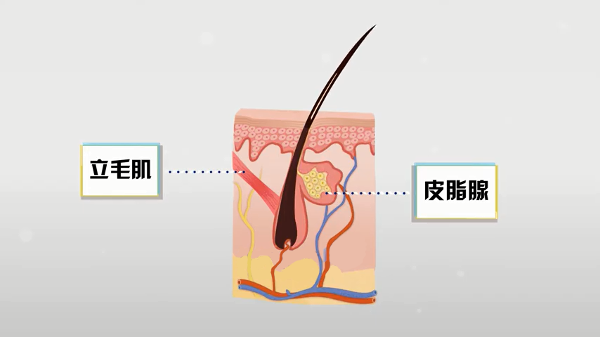 发际线种植会不会有后遗症