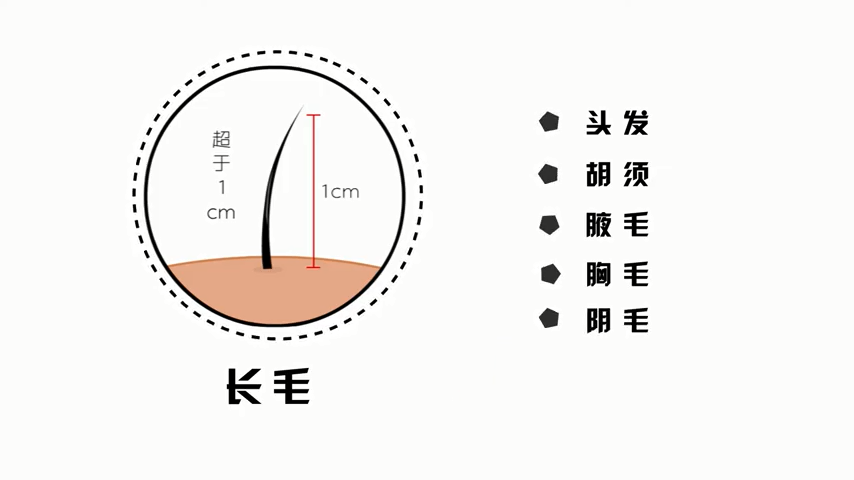 发际线调整可以改变脸型么?