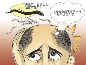 发际线高怎么办?
